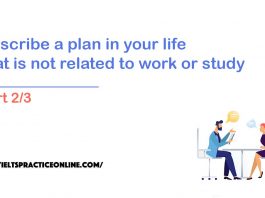 Describe a plan in your life that is not related to work or study