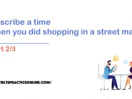 Describe a time when you did shopping in a street market