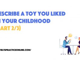 Describe a toy you liked in your childhood