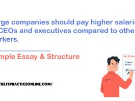 Large companies should pay higher salaries to CEOs and executives compared to other workers.