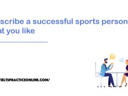Describe a successful sports person that you like