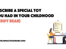 Describe a special toy you had in your childhood