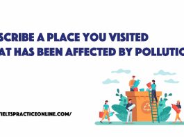 Describe a place you visited that has been affected by pollution
