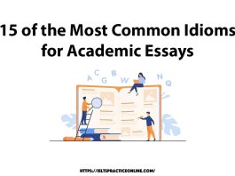 15 of the Most Common Idioms for Academic Essays 