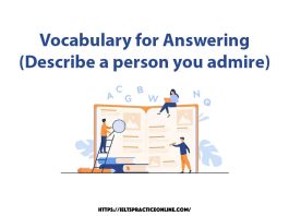 Vocabulary for Answering (Describe a person you admire)