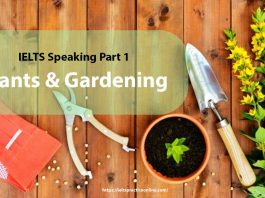 IELTS Speaking Part 1: Plants & Gardening