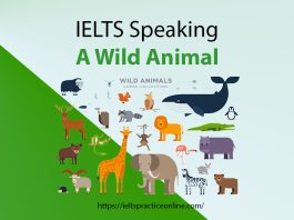 IELTS Speaking A Wild Animal